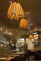Cotton - pendant light - passion 4 wood - tulip and walnut wood - decorative lighting ideal for bars, restaurant or for the home
